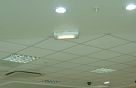 Suspended Ceiling 4